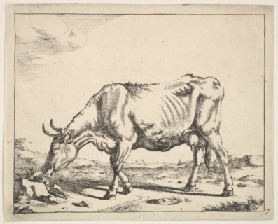 Cow, after Paulus Potter. Creator: Marcus de Bye.