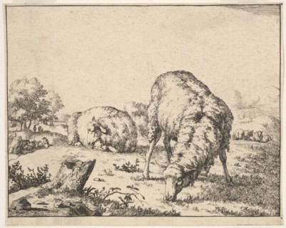 Sheep, from a set of 16 plates, 1664. Creator: Marcus de Bye.