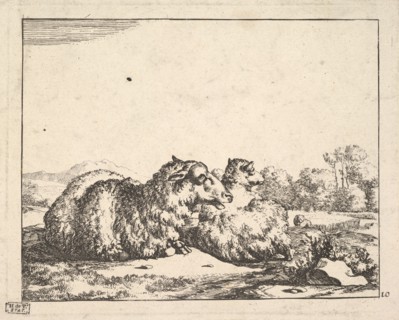 Sheep, from a set of 16 plates, 1664. Creator: Marcus de Bye.