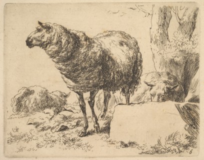 from The Set of Sheep. Creator: Nicolaes Berchem.