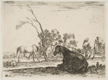 Plate 8: a seated horse to right, seen from behind and turned to the left, three other hor..., 1642. Creator: Stefano della Bella.
