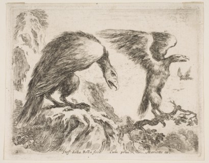 Plate 2: eagle and eaglet, from 'Various animals'