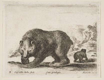 Plate 4: bear, from 'Various animals'