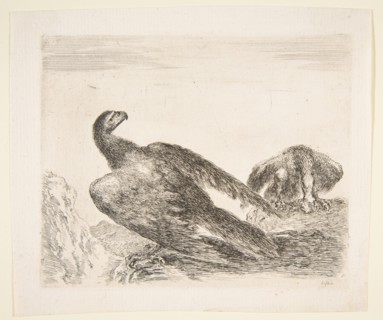 Two eagles, one with prey, from 'Eagles'