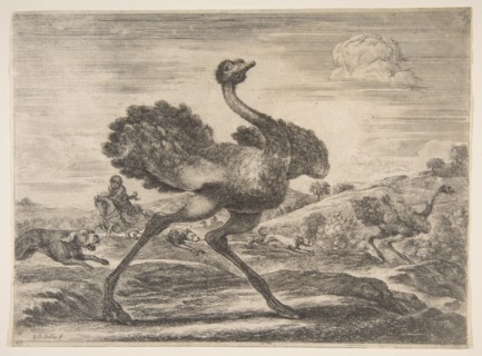 Ostrich hunt, from 'Animal hunts'