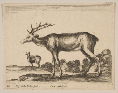 Plate 16: stag, from 'Various animals'