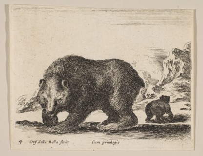 Plate 4: bear, from 'Various animals'