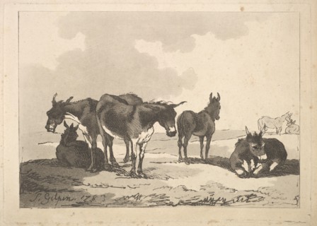 A Group of Five Donkeys, Three Standing, Two Lying, 1783-87. Creator: Thomas Rowlandson.