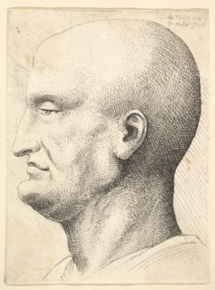 Head of a bald man in profile to left, 1644-52. Creator: Wenceslaus Hollar.
