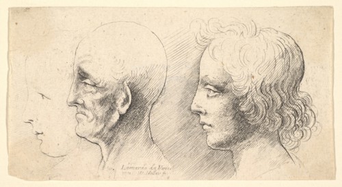 Three profile heads, one in outline only, 1625-77. Creator: Wenceslaus Hollar.