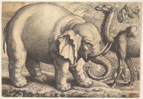 Elephant and Camel, 17th century