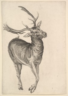 Stag, 1625-77. Creator: Wenceslaus Hollar.
