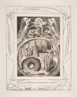 Behemoth and Leviathan, from Illustrations of the Book of Job, 1825-26. Creator: William Blake.