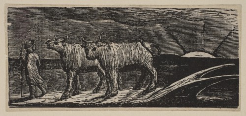Unyok'd Heifers, Loitering Homeward, from Thornton's Pastorals of Virgil, 1821. Creator: William Blake.
