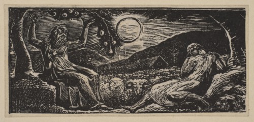 Thenot Under a Fruit Tree, from Thornton's Pastorals of Virgil, 1821. Creator: William Blake.