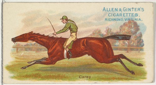 Carey, from The World's Racers series