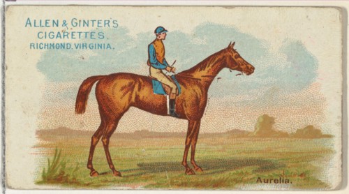 Aurelia, from The World's Racers series