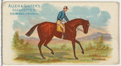 Dunbine, from The World's Racers series