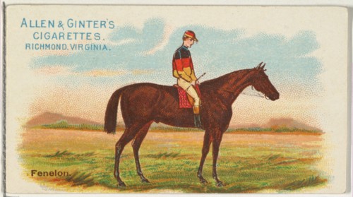 Fenelon, from The World's Racers series
