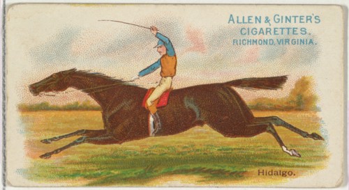 Hidalgo, from The World's Racers series