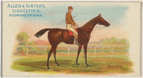 Jacobin, from The World's Racers series
