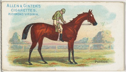 Pontico, from The World's Racers series