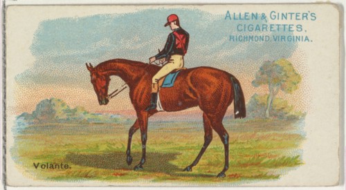 Volante, from The World's Racers series