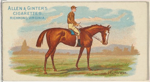 Huntress, from The World's Racers series