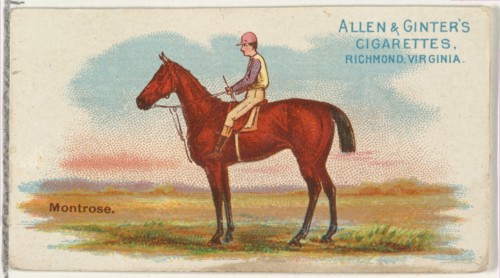 Montrose, from The World's Racers series