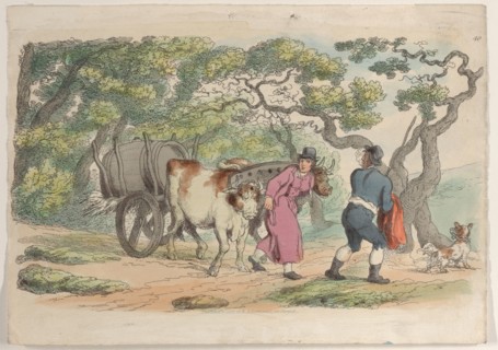 Plate 40, from "World in Miniature", 1816.