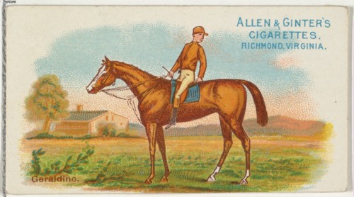 Geraldine, from The World's Racers series