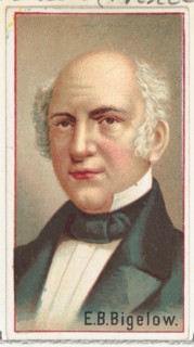 E. B. Bigelow