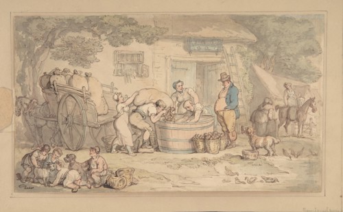 Farming scene