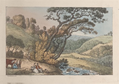 A Cornish View