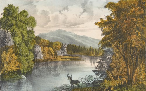 Moosehead Lake