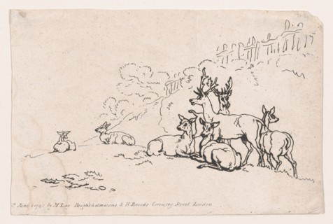 Deer (from Plate 3