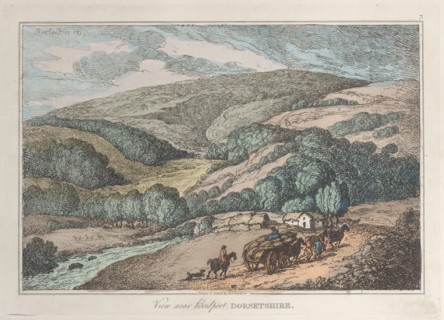 View near Bridport