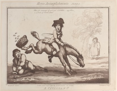 Horse Accomplishments