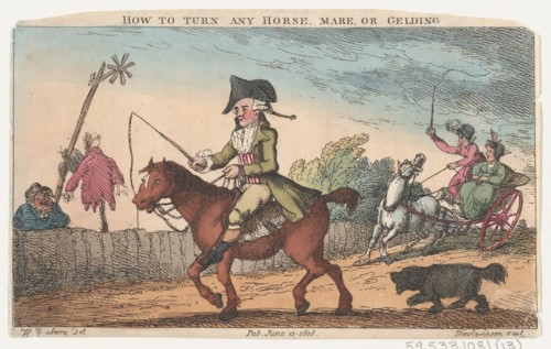 How to Turn Any Horse