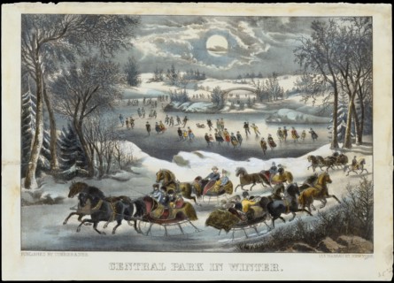 Central Park in Winter
