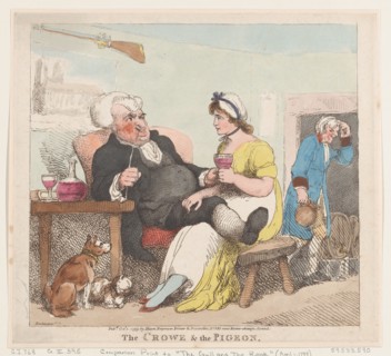 The Crowe & The Pigeon