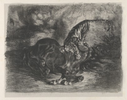 Wild Horse Felled by a Tiger