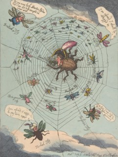The Corsican Spider in His Web!