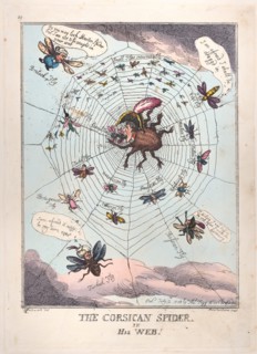 The Corsican Spider in His Web!
