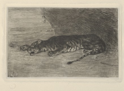 Tiger Lying at the Entrance of its Lair