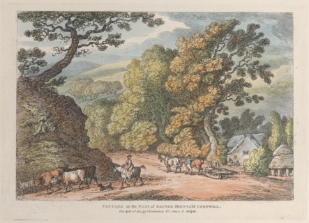 Cottage at the Foot of Router Mountain Cornwall