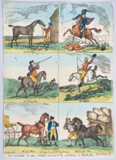 Six Classes of the Noble and Useful Animal a Horse