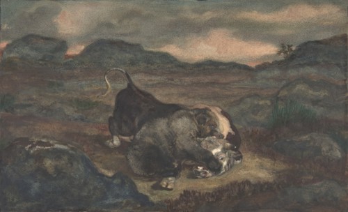 Bear Killing Bull, 1810-75.