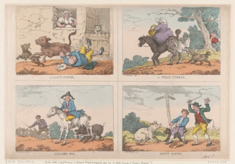 Pull'd Turkey, Collard Pig, A Calf's Pluck and Rusty Bacon, 1807.