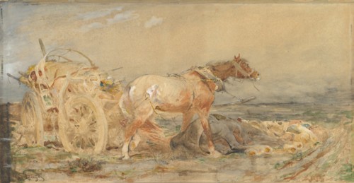 Abandoned: Marshes of the Danube, before 1887.